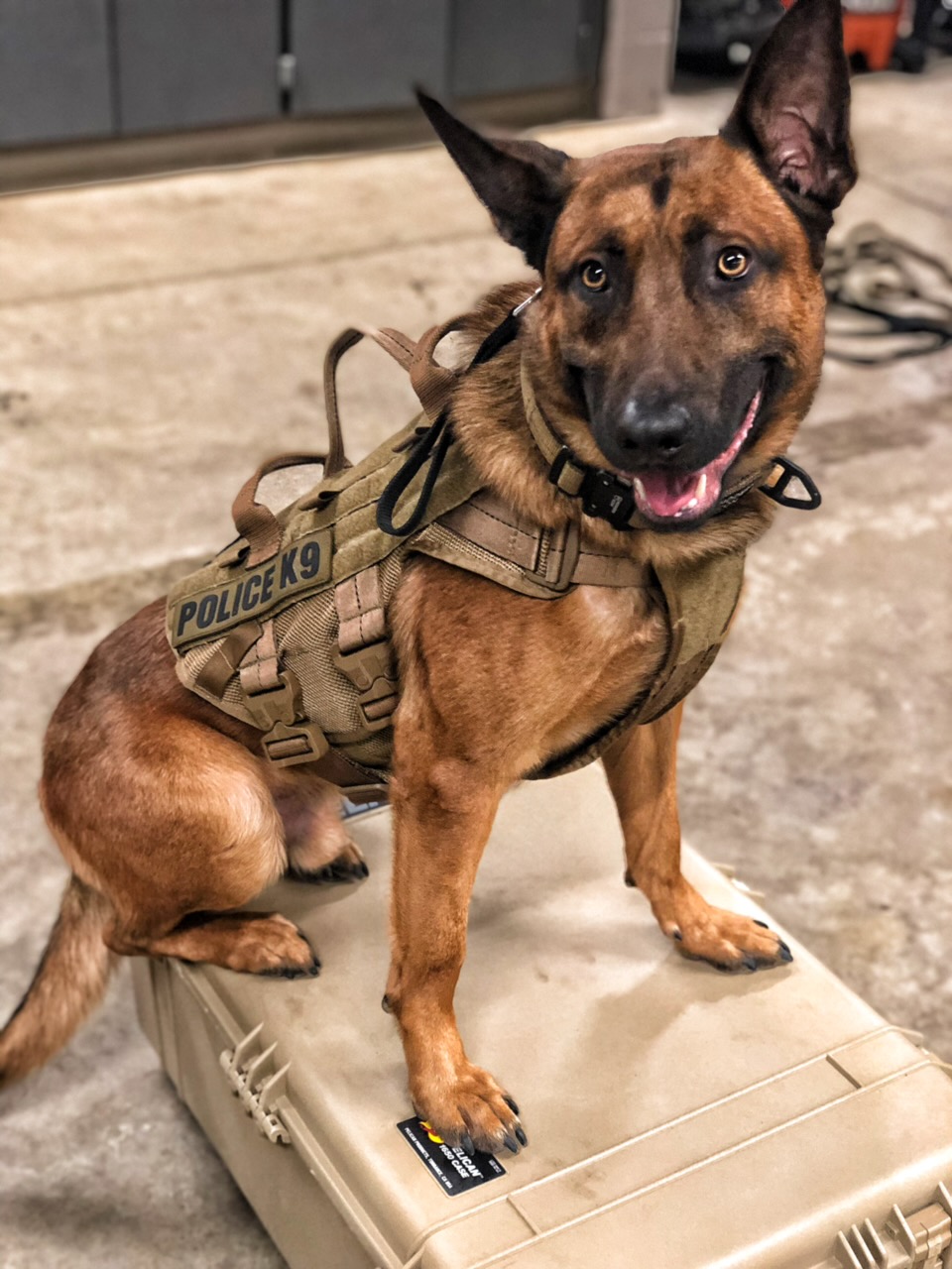 Hyce in protection training